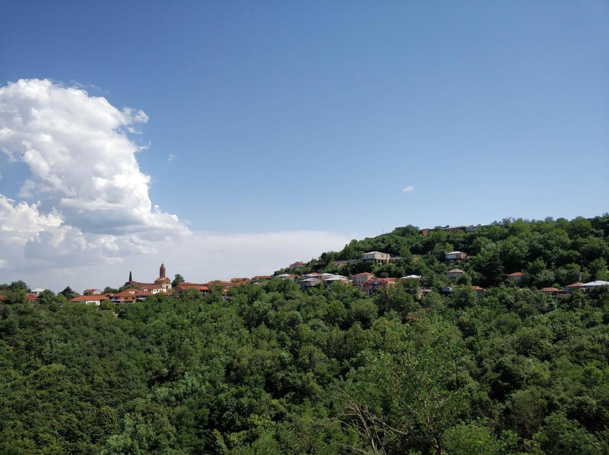 Favourite Apartment Sighnaghi Exterior photo