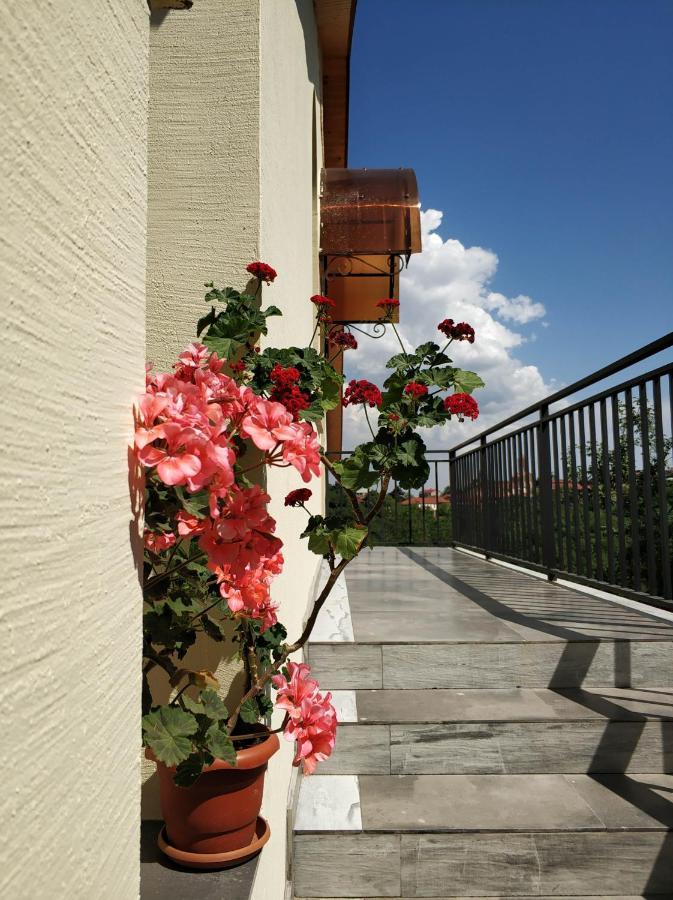 Favourite Apartment Sighnaghi Exterior photo
